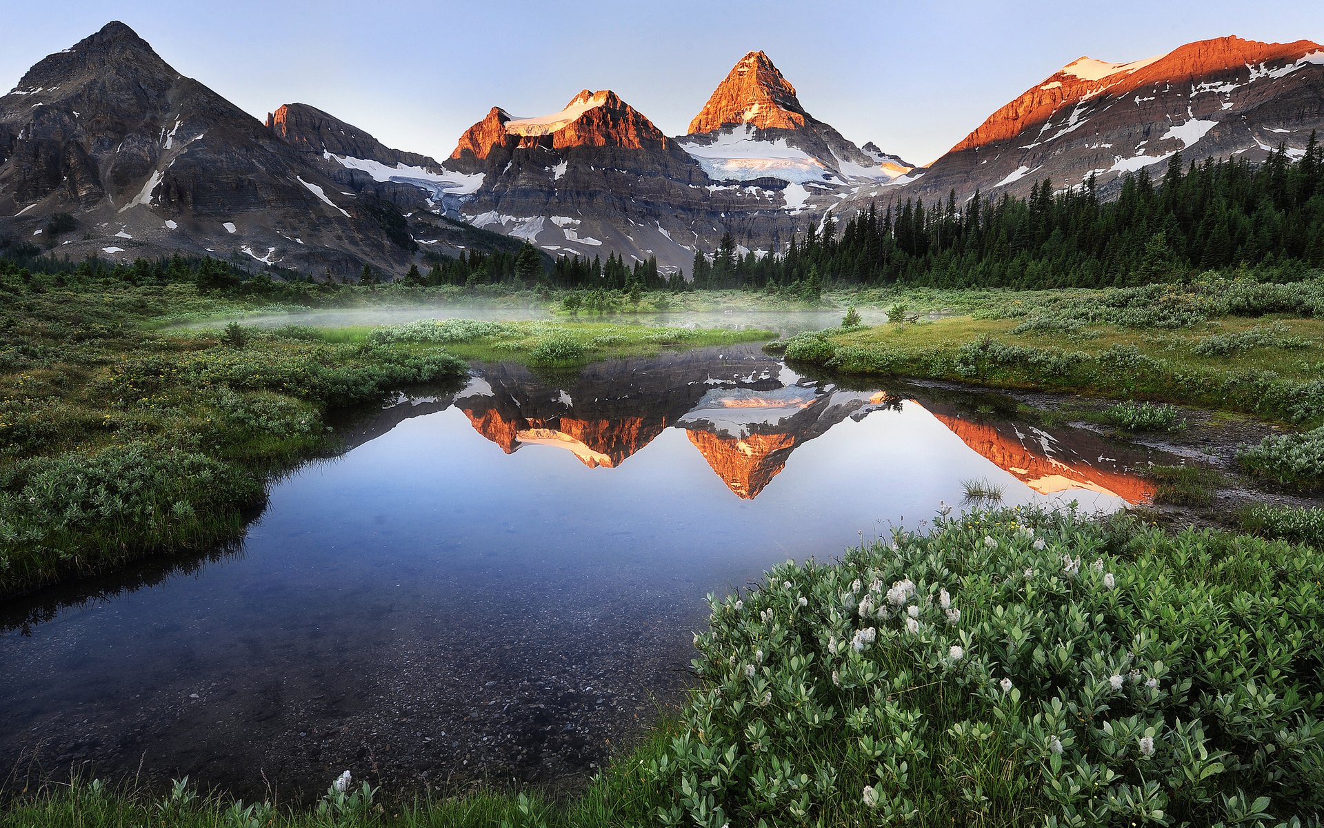 Природный мир фото foggy lake flowers mountains wallpapers from skelus - images from Fonwall