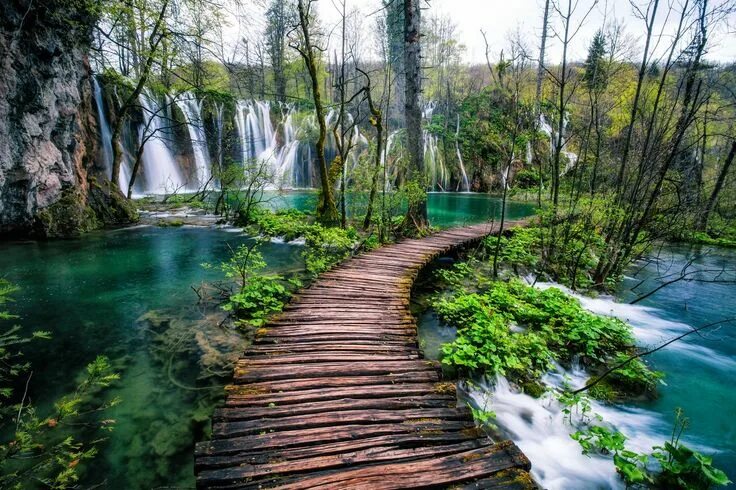 Природный мир фото Plitvice Lakes National Park is Croatia's largest national park and is just a fe