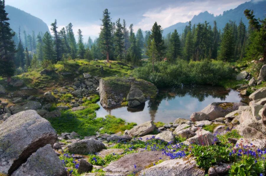 Природный парк ергаки фото Сказочные Ергаки. Часть 7. - путешествия и прочее - LiveJournal