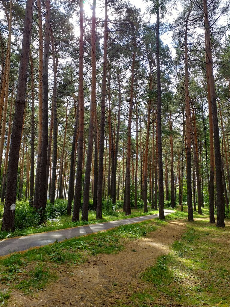 Природный парк коммунистический просп 45а фото Северский природный парк, park, Seversk, Kommunisticheskiy Avenue, 45А - Yandex 