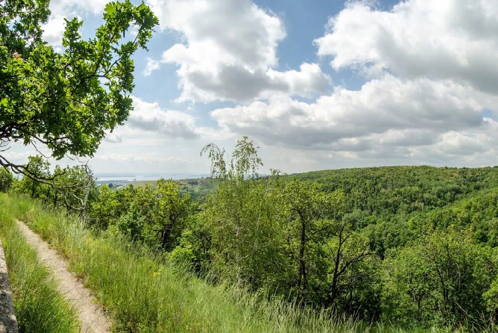 Природный парк кумысная поляна саратов фото Достопримечательности Кумысной поляны