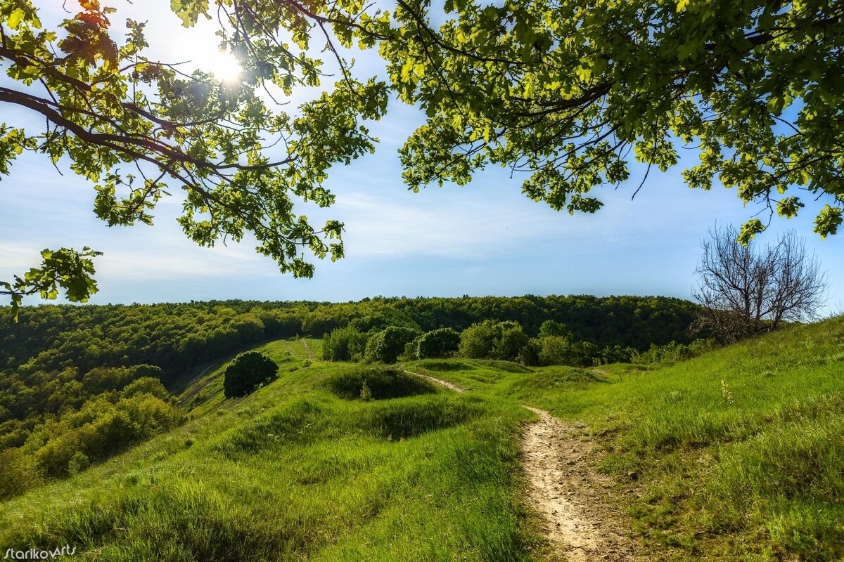 Природный парк кумысная поляна саратов фото Чем заняться на Кумысной поляне (Саратов)? Прокат и ремонт велосипедов в Саратов