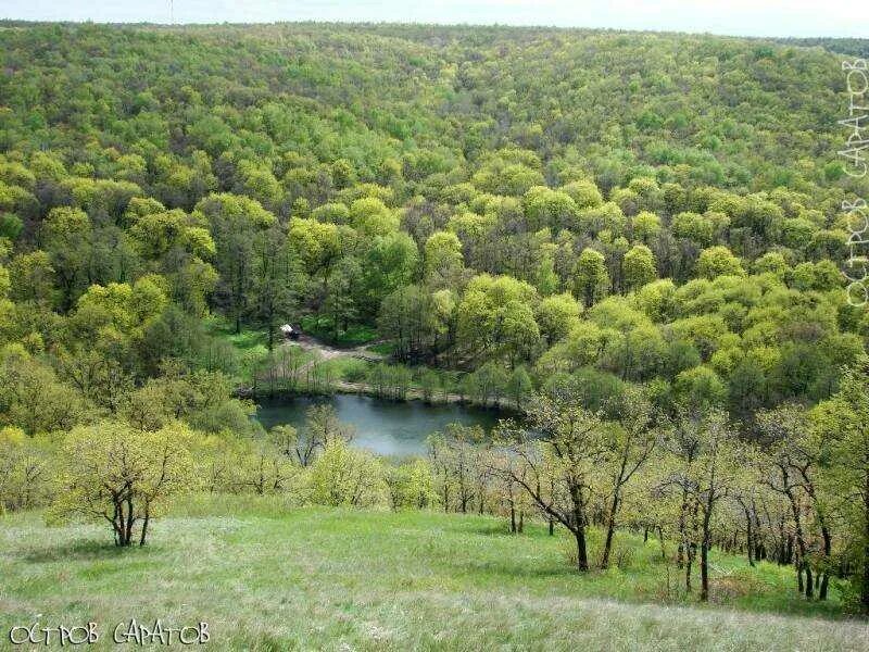 Природный парк кумысная поляна саратов фото Кумысная поляна - блог Санатории Кавказа