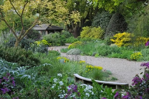 Природный сад в ландшафтном дизайне Beth Chatto's Gravel Garden