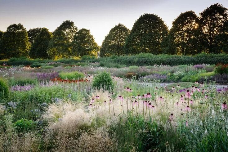 Природный сад в ландшафтном дизайне Pin by Ирина Николаевна on сад Naturalistic garden, Landscape design, Prairie ga