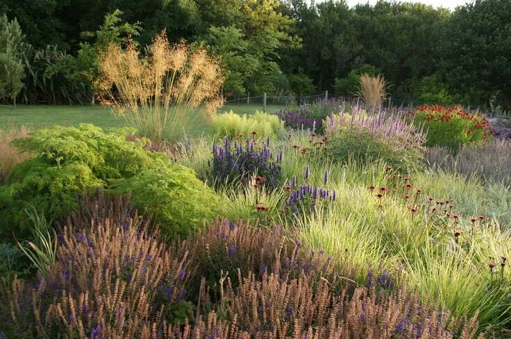 Природный сад в ландшафтном дизайне фото west cork piet oudolf Landscape design, Dream garden, Prairie garden