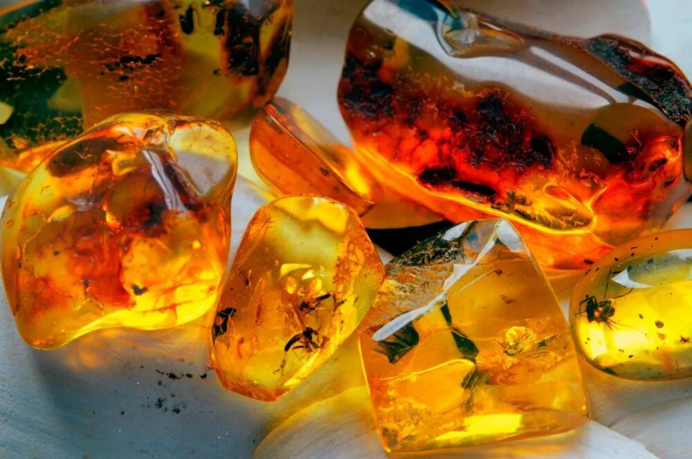 Природный янтарь фото Янтарь с насекомыми Amber, Amber stone meaning, Amber stone