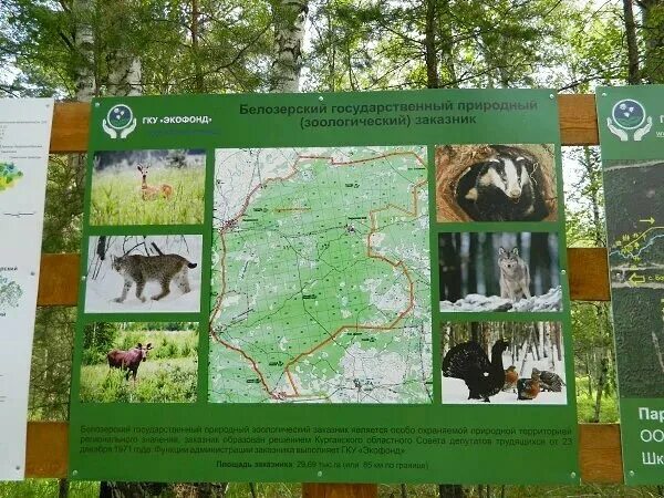 Природный заказник северный природный заказник северный фото В защиту заказников Курганской области выступил Экспертный совет по заповедному 