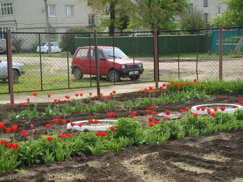 Пришкольный участок фото На пришкольном участке разбит сад который занимает