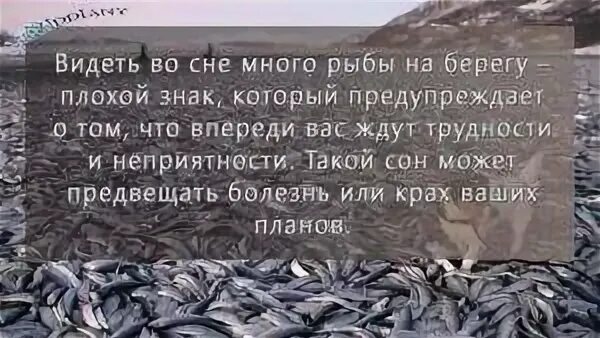 Приснилось что ловлю рыбу на удочку женщине Картинки К ЧЕМУ СНЯТСЯ ЛОВЛЯ