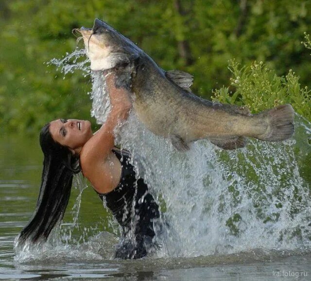 Приснилось что на рыбалке ловлю рыбу Приколы на день рыбака (40 фото) Fishing photo, Fishing adventure, River fishing