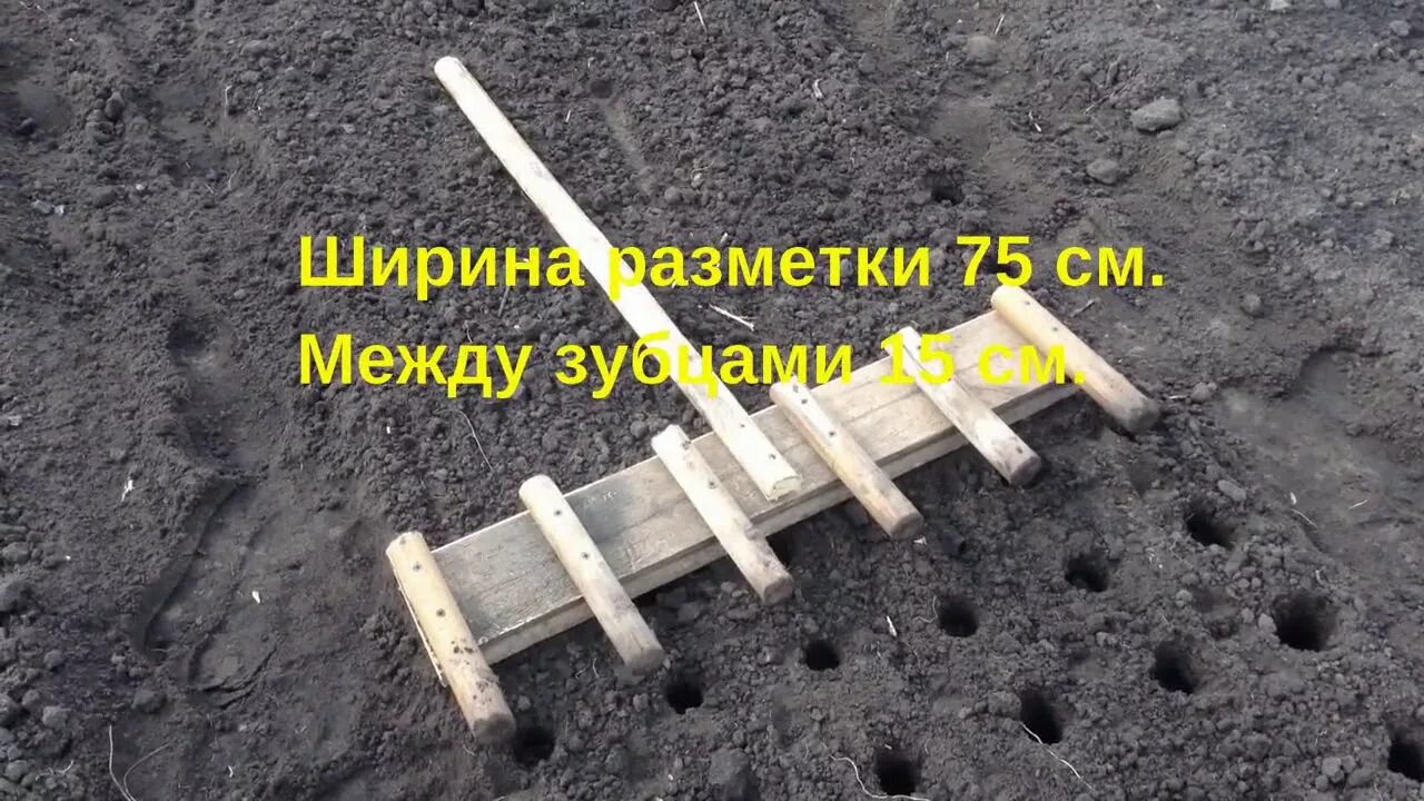 Приспособление для посадки чеснока фото Разметка для посадки лука и чеснока - YouTube