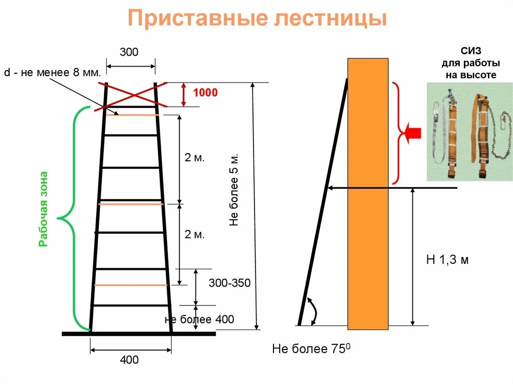 Приставной лестницы своими руками чертежи Ширина приставной лестницы фото - DelaDom.ru