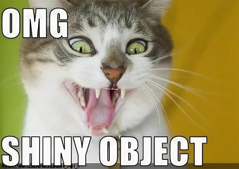 Присылайте смешные фото The Social Media Shiny Object Syndrome Funny cats, Cats, Funny cat memes