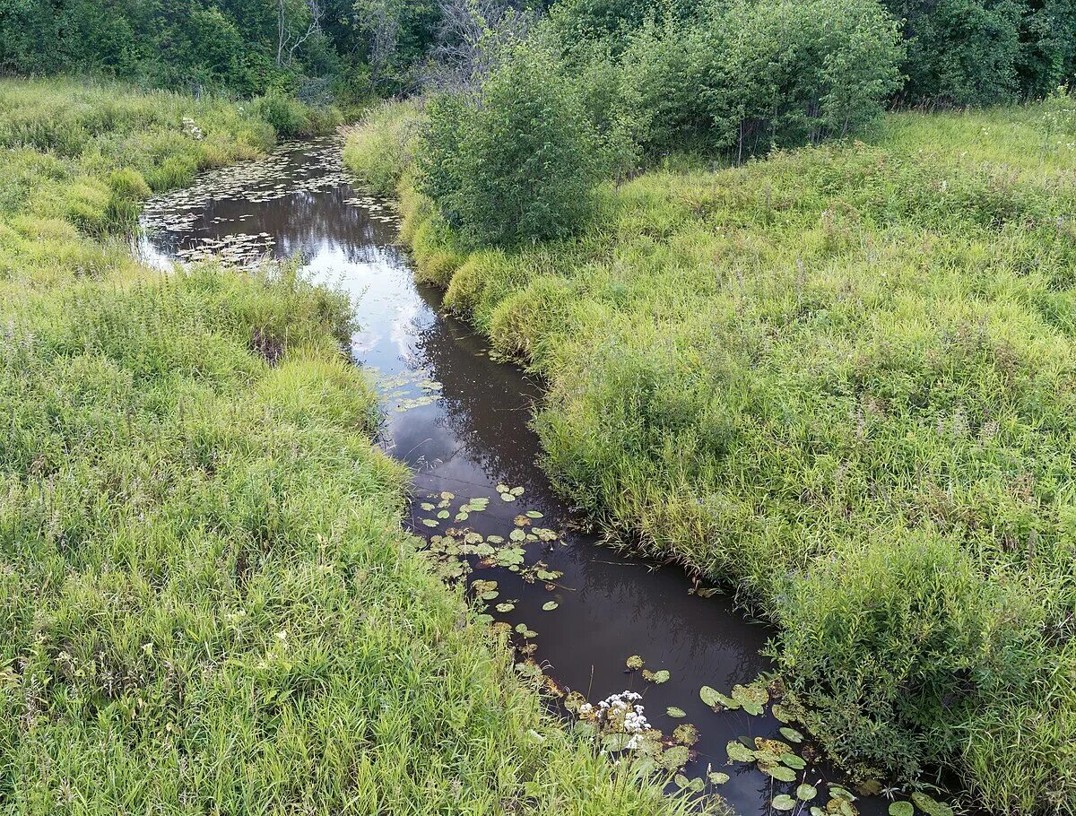 Приток реки фото Файл:Lominka river.jpg - Википедия