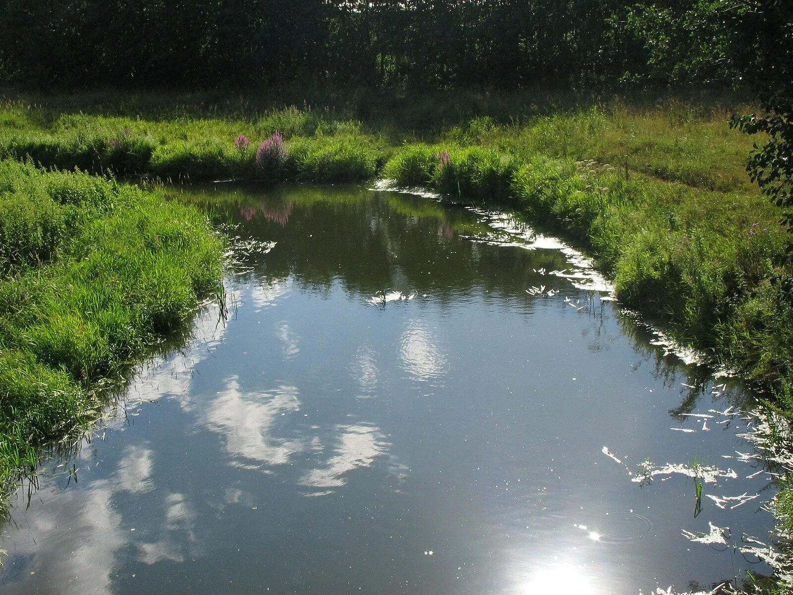 Приток реки фото Файл:Р. Чёрная - panoramio.jpg - Википедия