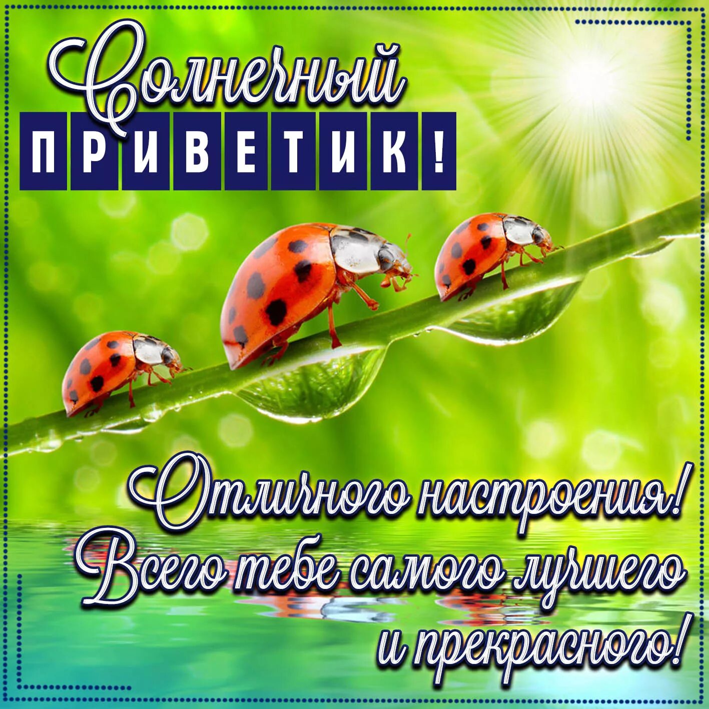 Привет хорошего дня картинки бесплатно Открытка с солнечным приветиком в рамочке