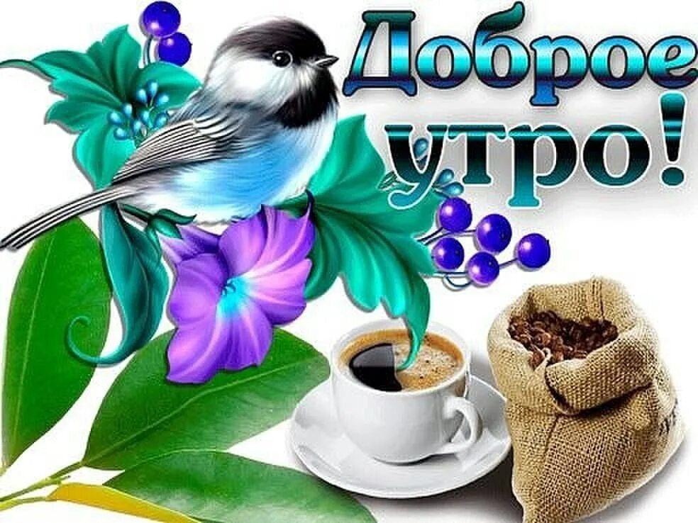 Привет с добрым утром картинки красивые ДОБРОЕ УТРО!!! ОТЛИЧНОГО НАСТРОЕНИЯ!!! С добрым утром! ... ЧУДЕСА ТАМ,ГДЕ В НИХ 