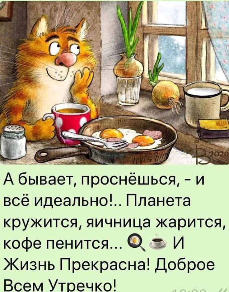 Привет утро картинки прикольные смешные Pin by Зинаида Бабенко on Доброе утро Good morning cards, Good morning images, G