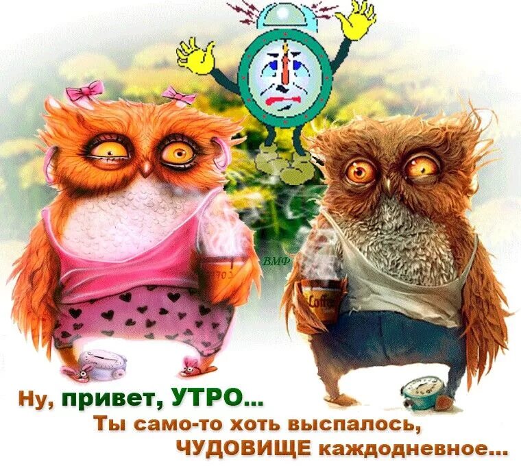 Привет утро картинки прикольные смешные Two Owls Standing Together