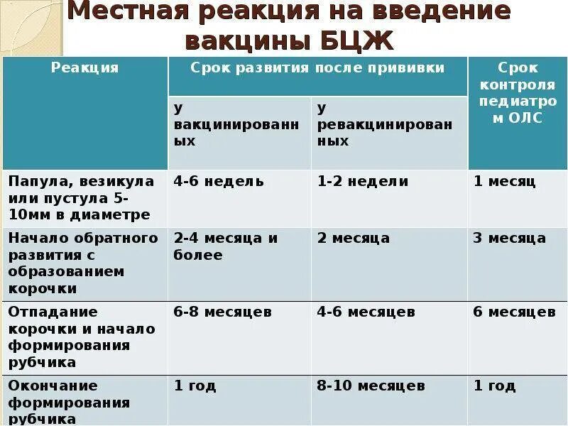 Прививка бцж фото по месяцам Когда и зачем делают вакцинацию БЦЖ младенцам в роддоме: заживление, осложнения