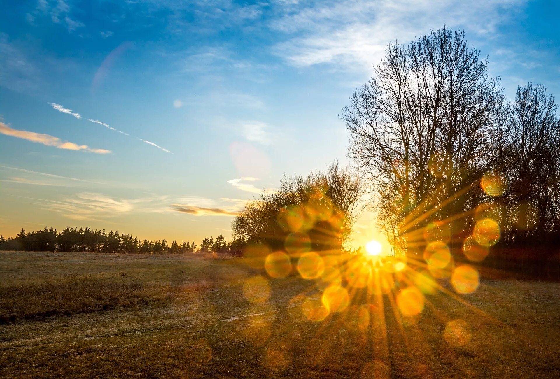 Приятное фото солнце Wallpaper : 1920x1300 px, clouds, landscape, nature, Sun, sunlight, trees 1920x1