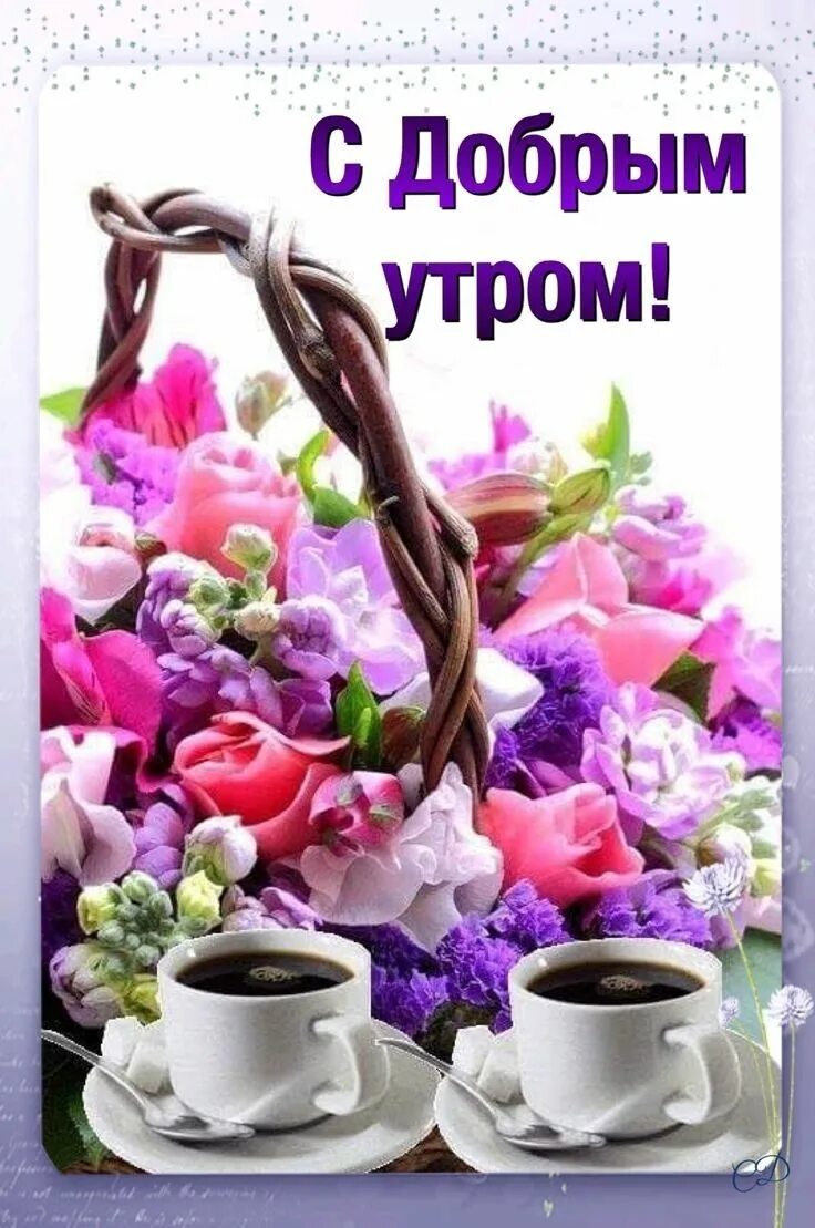 Приятного доброго утра картинки красивые Pin su Доброе утро Buon compleanno, Buon lunedi