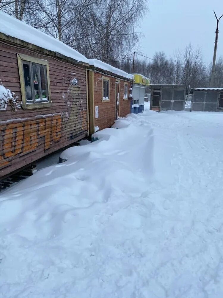 Приют ковчег ярославль заволжский район фото Ваша земля нам подходит": в Ярославле могут снести старейший приют "Ковчег" - Ya