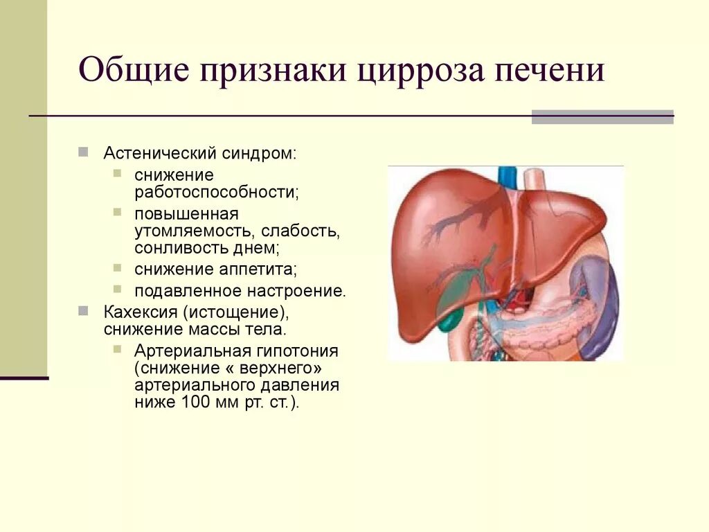 Признаки болезни печени фото Цирроз признаки и симптомы