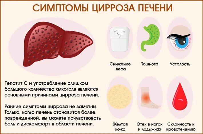 Признаки болезни печени на лице фото Лечении болезней печени у женщин - найдено 77 картинок