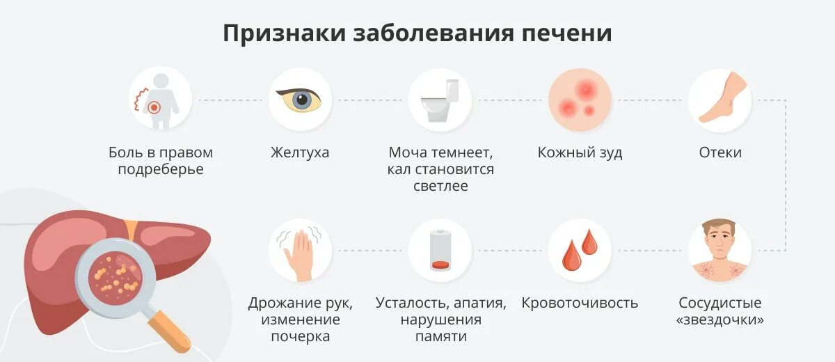 Признаки болезни печени на лице фото Восстановление и чистка печени от токсинов: как это сделать дома?