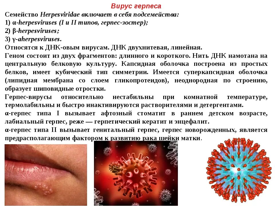 Признаки герпеса на теле фото Картинки ВИРУС ГЕРПЕСА КАК ПРОЯВЛЯЕТСЯ