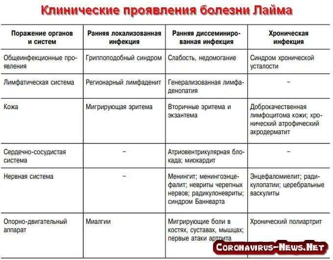 Признаки лайма симптомы у человека фото Lyme disease antibiotics doxycycline