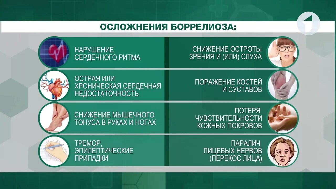 Признаки лайма симптомы у человека фото Осложнения боррелиоза / Здравствуйте - YouTube