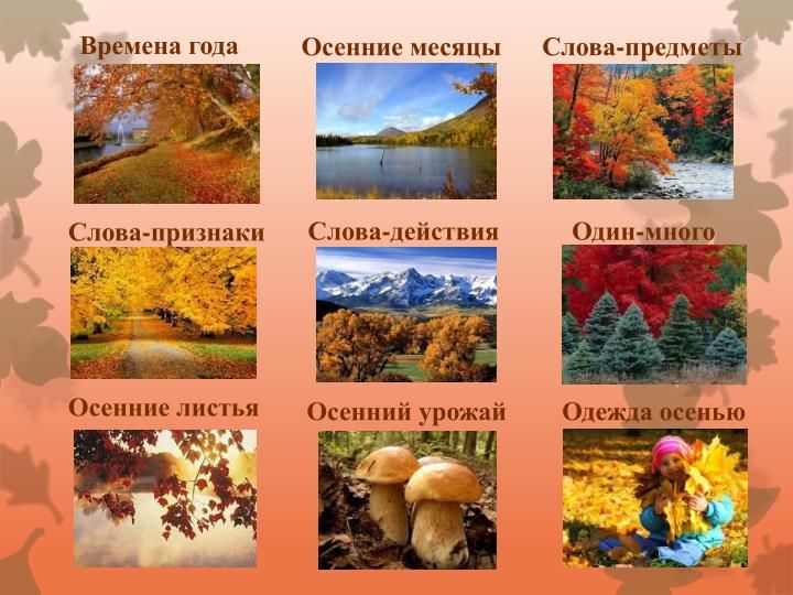 Признаки осени фото PPT - ОСЕНЬ PowerPoint Presentation, free download - ID:3251708 Осенний урожай, 