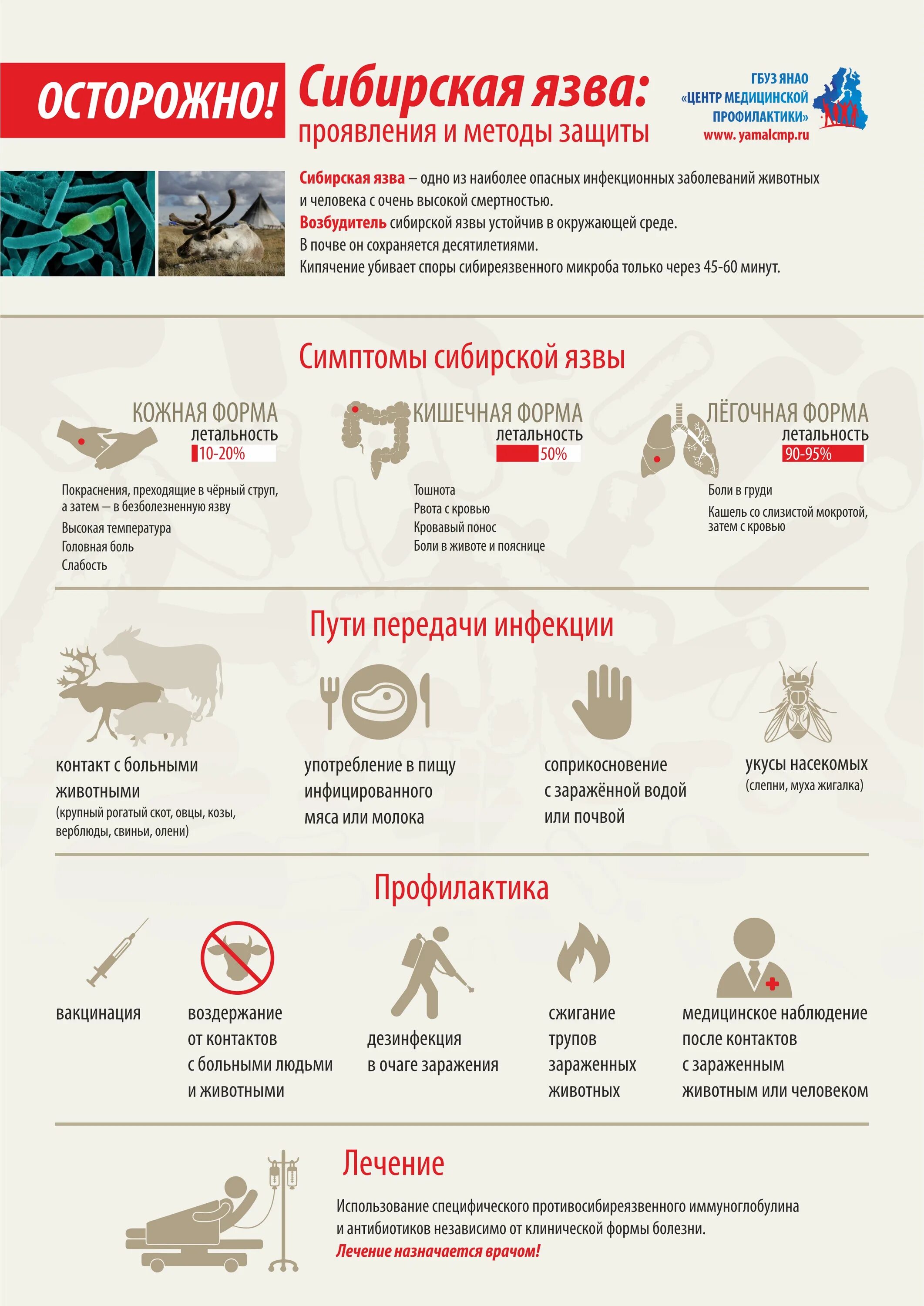 Признаки сибирской язвы фото Сибирская язва Управление образования Приуральского района