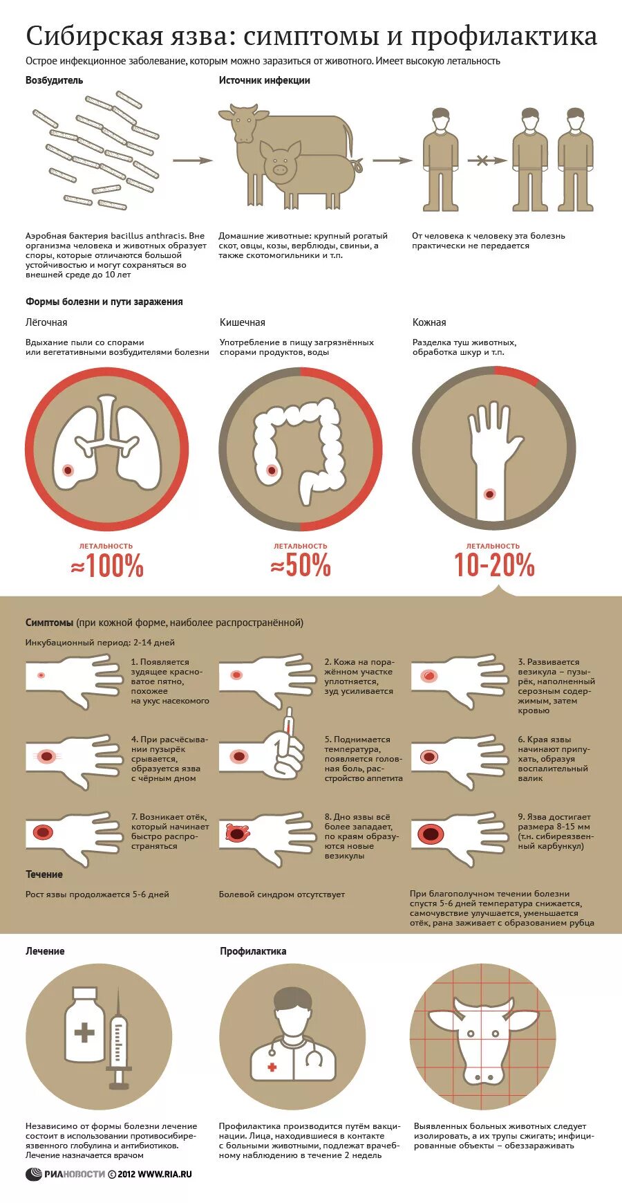 Признаки сибирской язвы фото Роспотребнадзор: очаг сибирской язвы на Ставрополье ликвидирован - РИА Новости, 