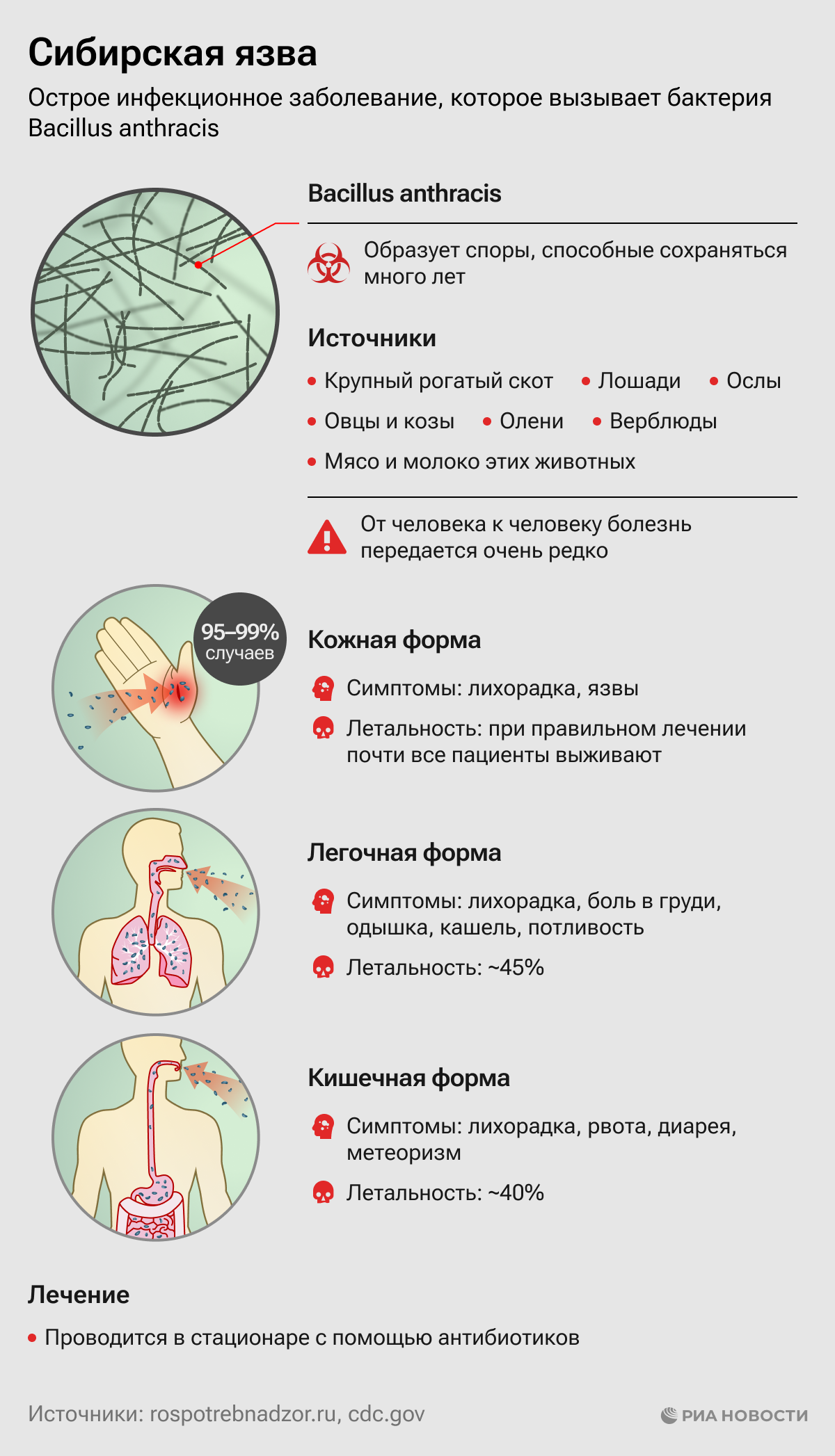 Признаки сибирской язвы у человека фото В России сибирская язва. Кто в зоне риска и что им грозит - РИА Новости, 24.03.2