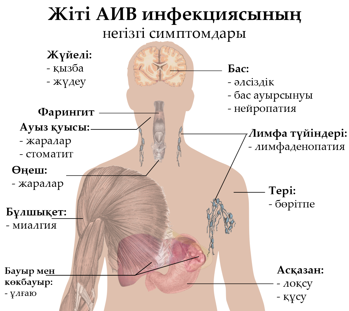 Признаки вич сыпь фото Сурет:Жіті АИВ инфекция симптомдары.png - Уикипедия