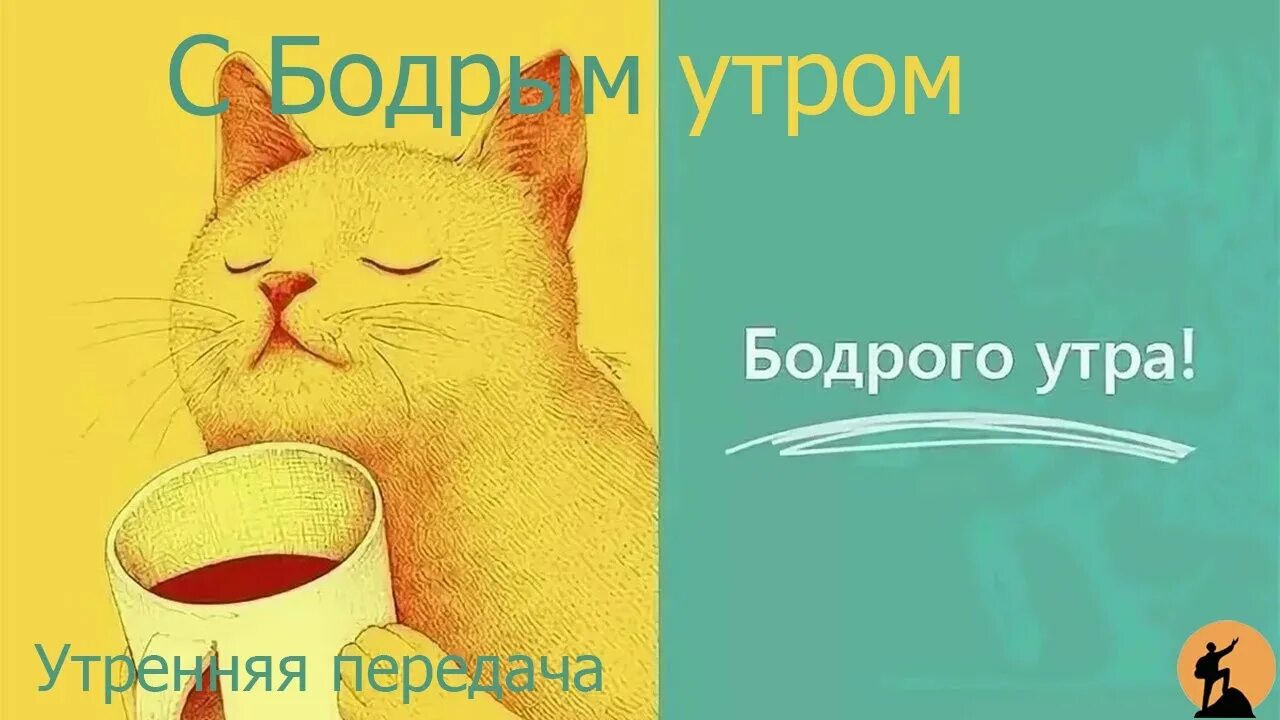 Про бодрое утро картинки прикольные Бодрое утро 14 октября - Чистое словесное молоко - YouTube