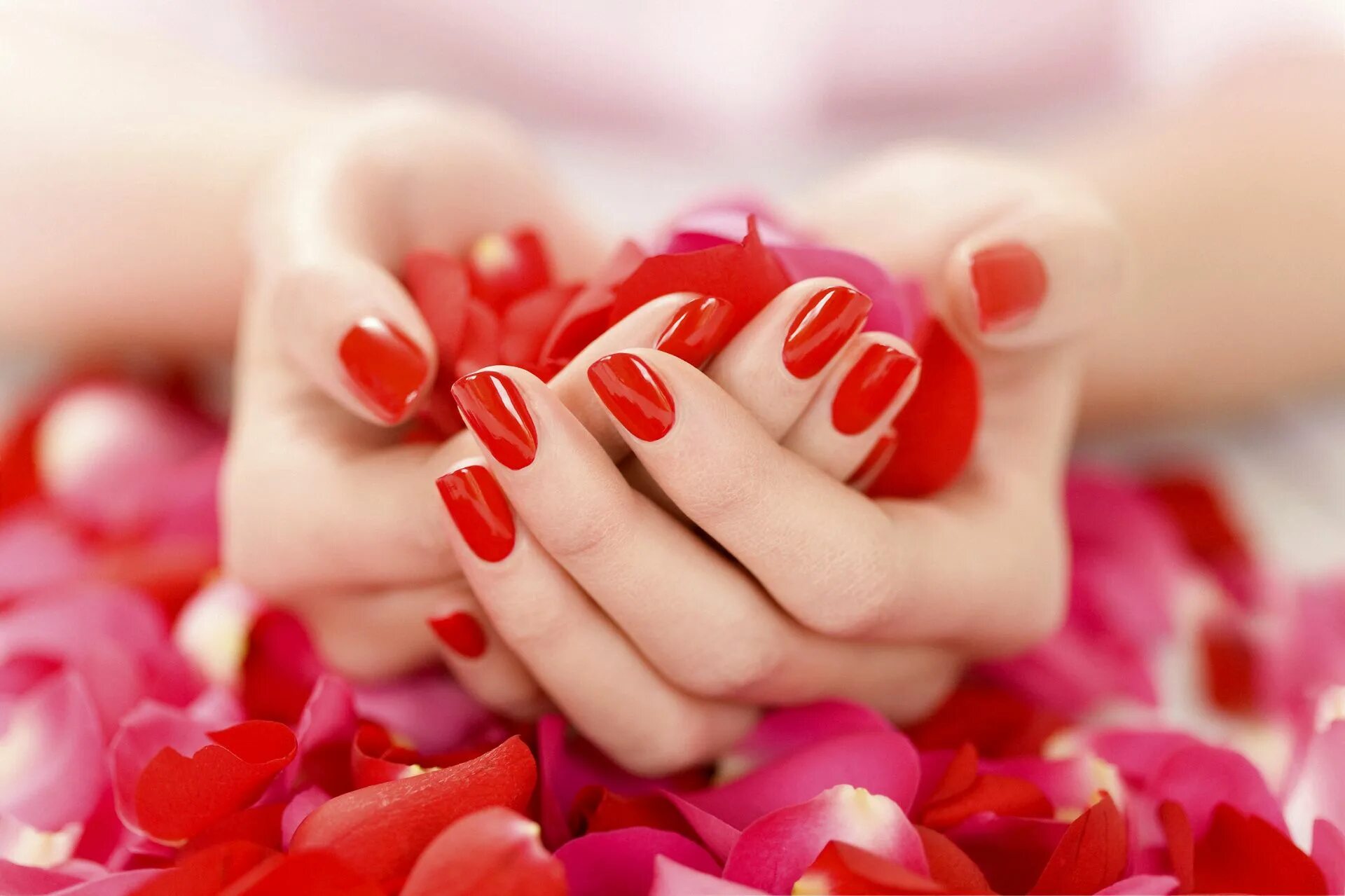 Про красивый маникюр MANICURE Sns nails colors, Manicure, Red nails