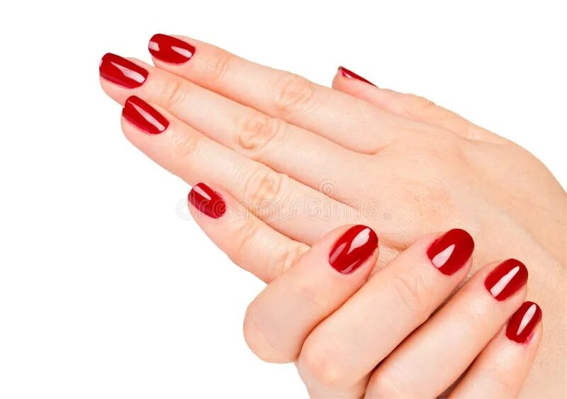 Про маникюр красный Female Hands with Red Manicure Stock Photo - Image of makeup, hand: 23654718