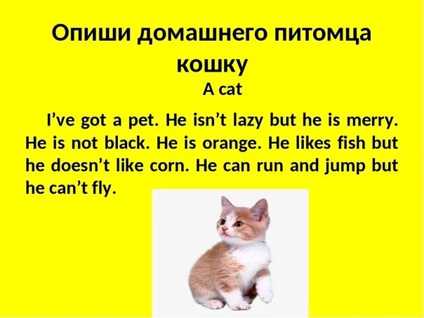 Про своего домашнего Сочинение по английскому домашние животные: найдено 80 изображений