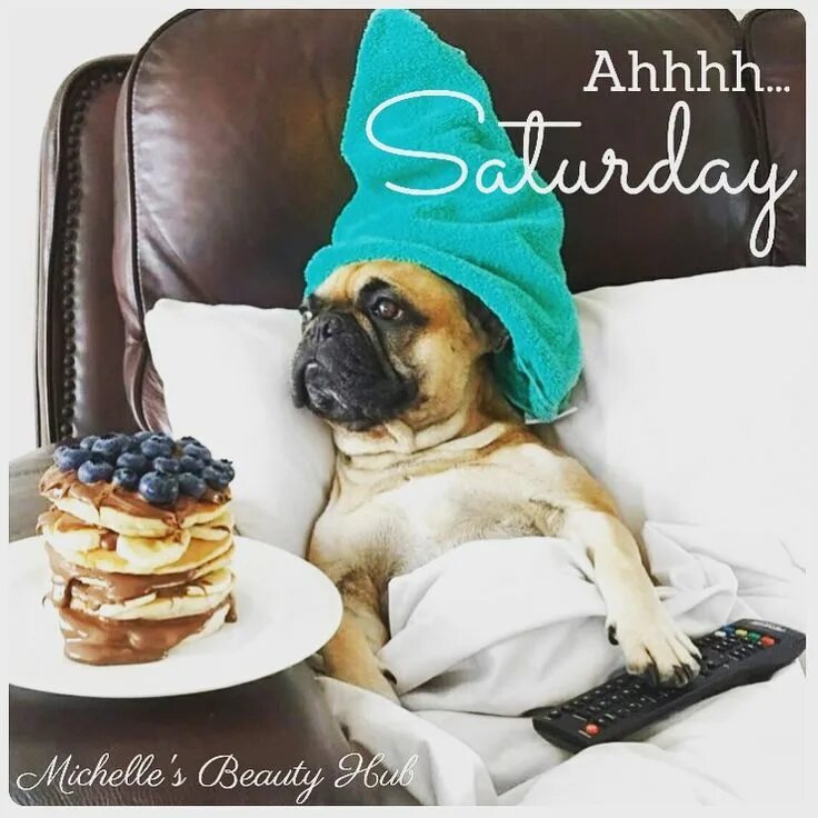 Про утро картинки прикольные смешные It's Saturday! Hope you have a great first weekend in September! . #september #w