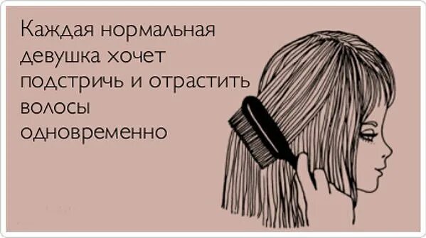 Про женскую прическу Немного юмора для наших друзей про прическу про волосы про женскую логику от дом