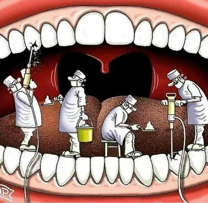 Про зубы комсомольская ул 35 фото Pin by Amy Izquierdo on Odontología Dental wall art, Dental posters, Dental fun