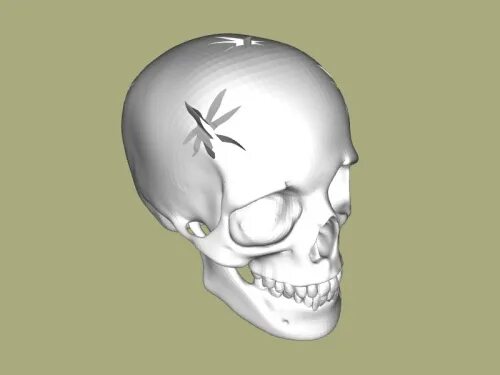 Пробитый череп фото SKULLS: stl and obj 3d models / Download free 3d models for printing