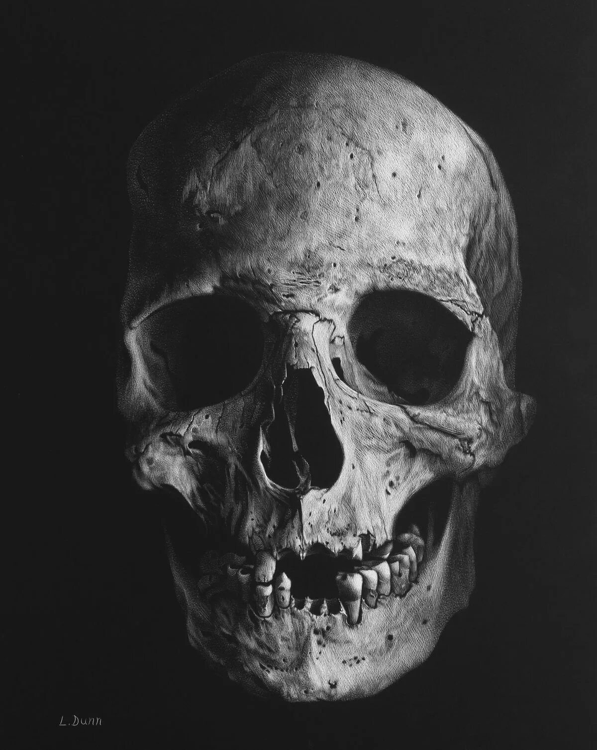 Пробитый череп фото Pin by Miss Leggs on Pics Skull art drawing, Skull artwork, Skull reference