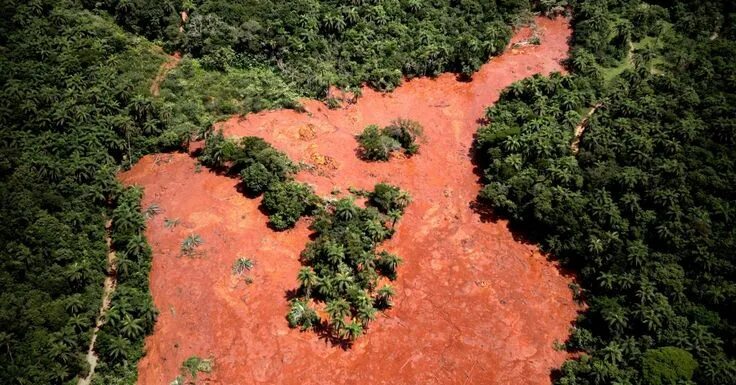 Проблема исчезновения тропических лесов фото Stoppt die Giftlawine in Brasilien! Natural landmarks, Brazil, Disasters