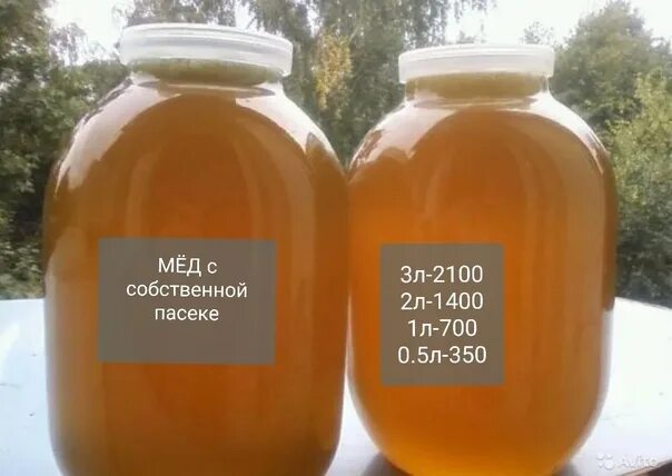 Продам мед фото We sell our own honey. 3l-2100 2l-1400 1L-700 0.5L-350 250 to.. 2022 Подслушано 